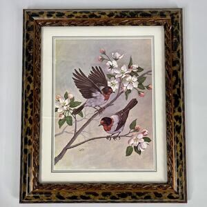 VTG Warbler Bird Floral Litho In Sixtrees Cheetah Leopard Picture Frame 10 x 12”